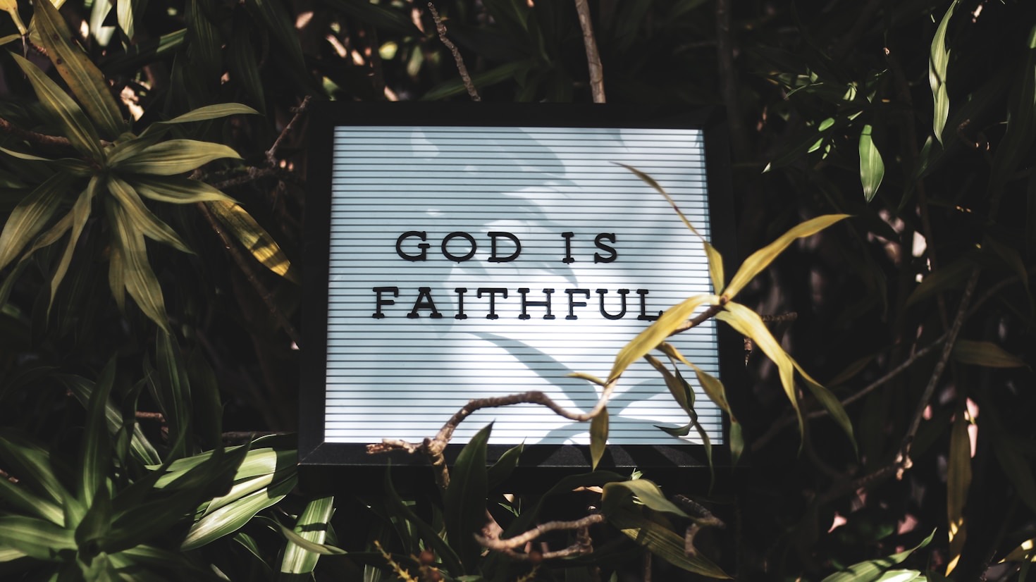 The Connection Between Faith and Physical Wellness